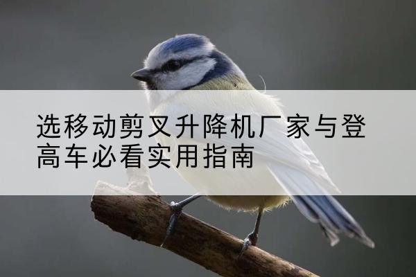 双峰电动升降机厂家-选移动剪叉升降机厂家与登高车必看实用指南