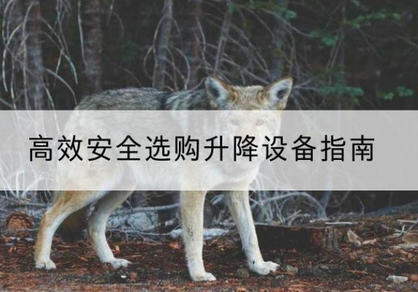 双峰升降货梯厂家推荐-*安全选购升降设备指南